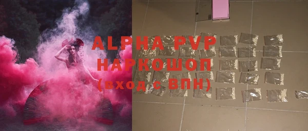 apvp Алзамай