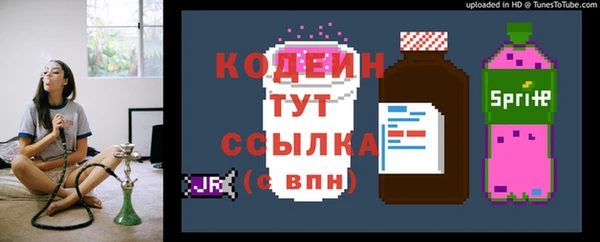 прущая мука Ельня