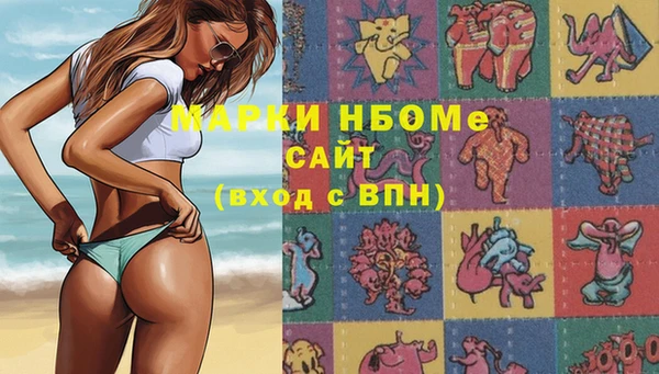 apvp Алзамай